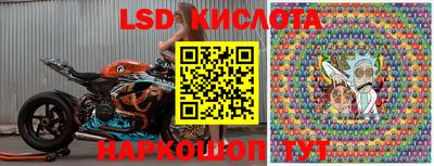 крисы Новодвинск