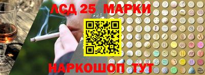индика Новозыбков