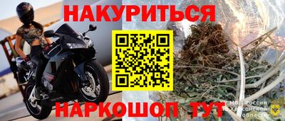 индика Новозыбков