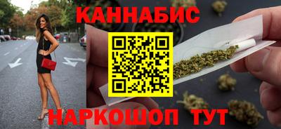 крисы Новодвинск