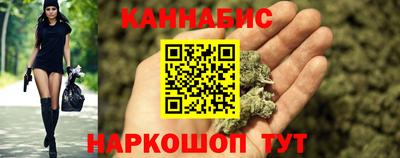 индика Новозыбков