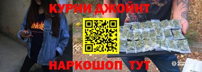 индика Новозыбков