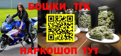 крисы Новодвинск