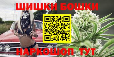 индика Новозыбков